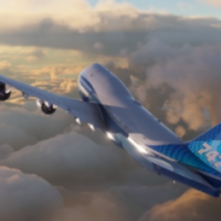 Microsoft Flight Simulator
