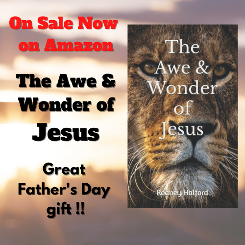 On Sale Now on Amazon The Awe & Wonder of Jesus Great Father's Day gift !! small