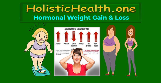 Holistichealth One Hormonal Weight Gain And Loss âœ ï¸ ðŸ¦…ðŸ™ ðŸ