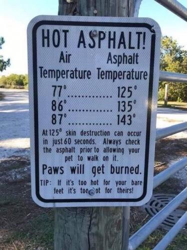 Hot Asphalt