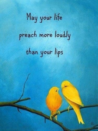 Life and Lips