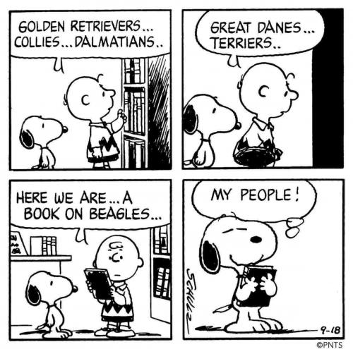 Beagles Book