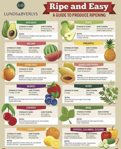 PRODUCE GUIDE